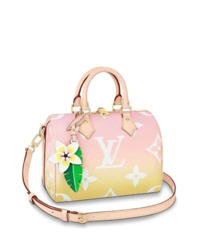 Louis Vuitton Speedy Bandoulière 25 M45724