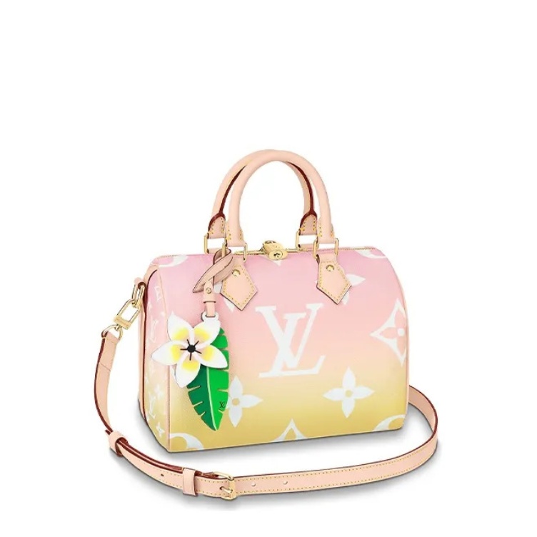 Louis Vuitton SPEEDY BANDOULIÈRE 25 M45724