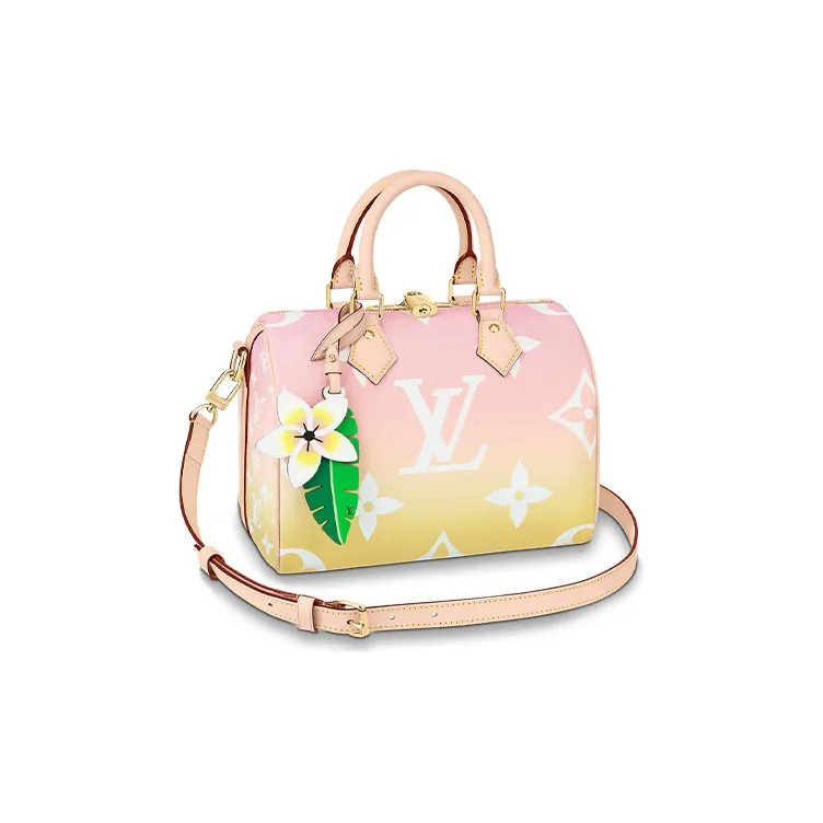 Louis Vuitton SPEEDY BANDOULIÈRE 25 M45724