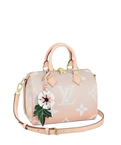Louis Vuitton Speedy Bandoulière 25 M45722