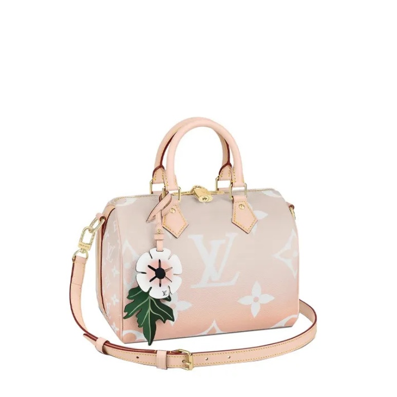 Louis Vuitton SPEEDY BANDOULIÈRE 25 M45722