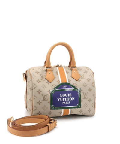 Louis Vuitton  Speedy Bandoulière 25 M46749