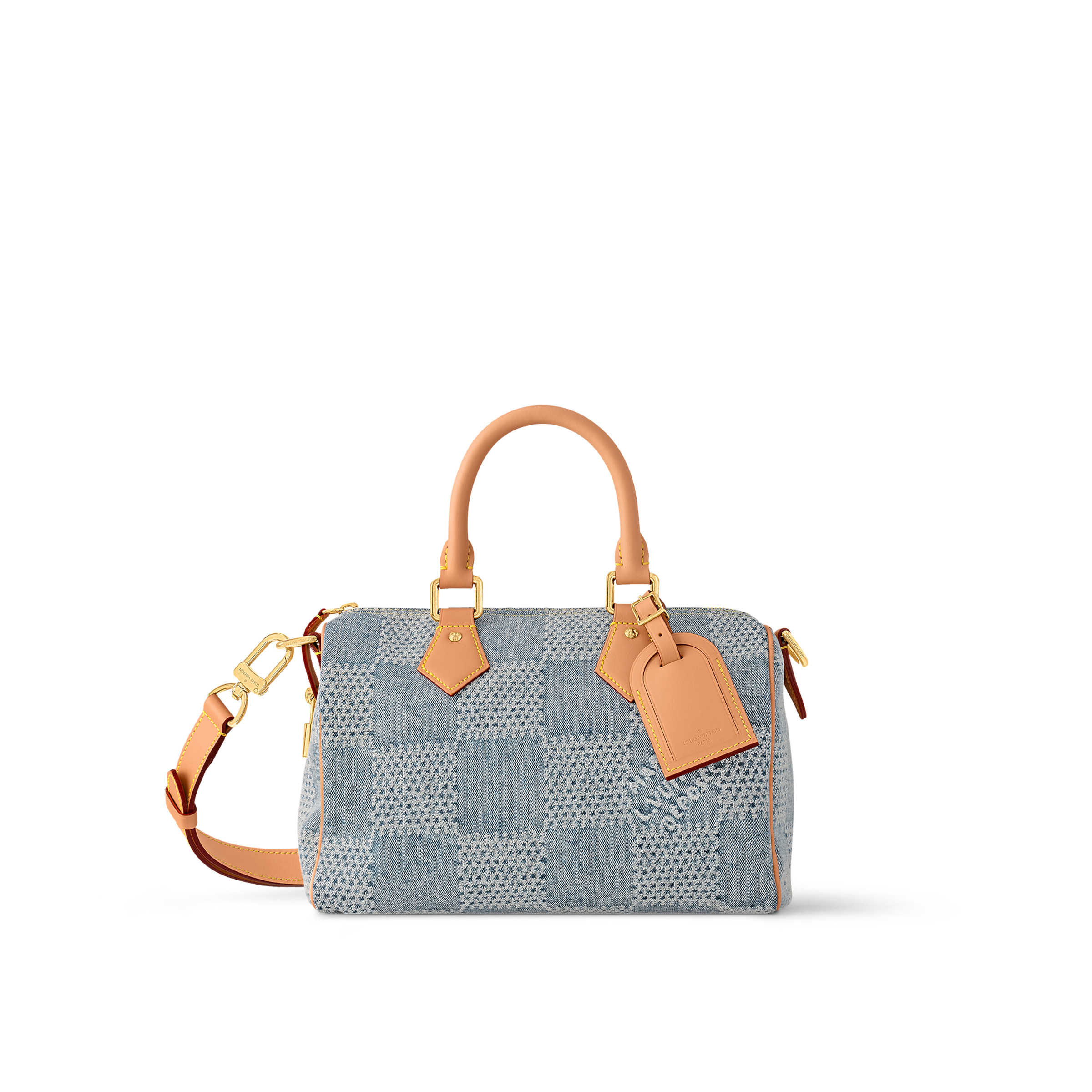 Louis Vuitton Speedy 25 Bandoulière N40700