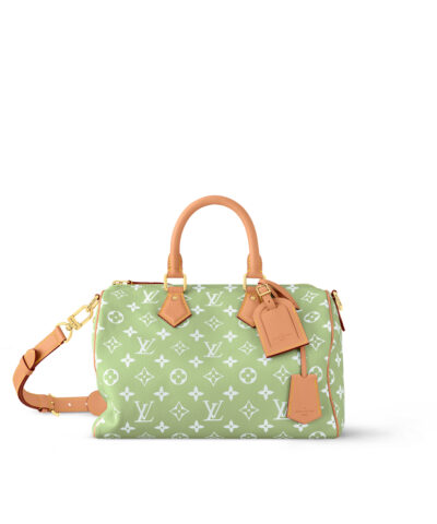 Louis Vuitton Speedy P9 Bandoulière 30 M14064