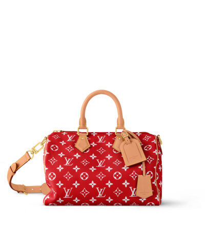 Louis Vuitton Speedy P9 Bandoulière 30 M14067