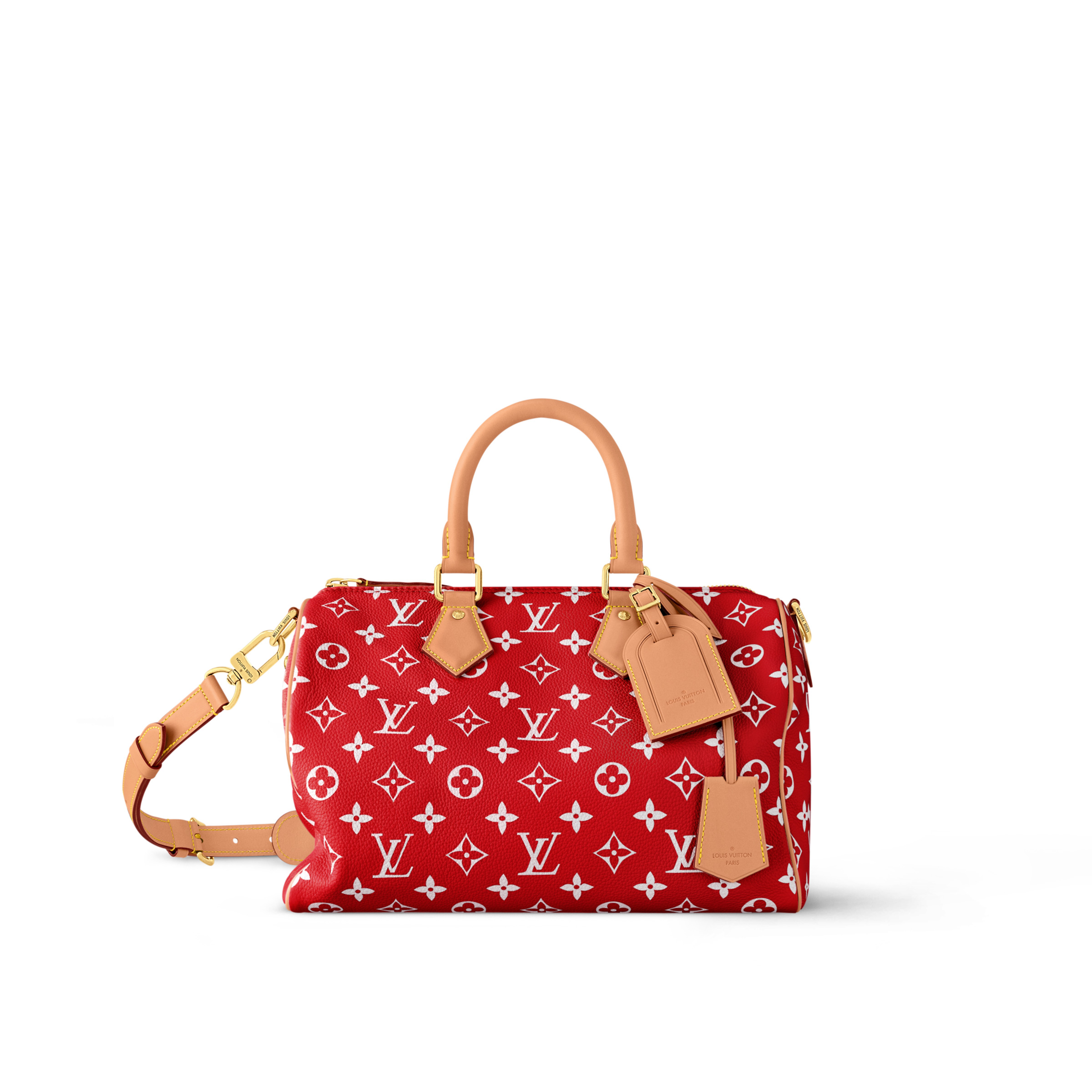 Louis Vuitton Speedy P9 Bandoulière 30 M14067