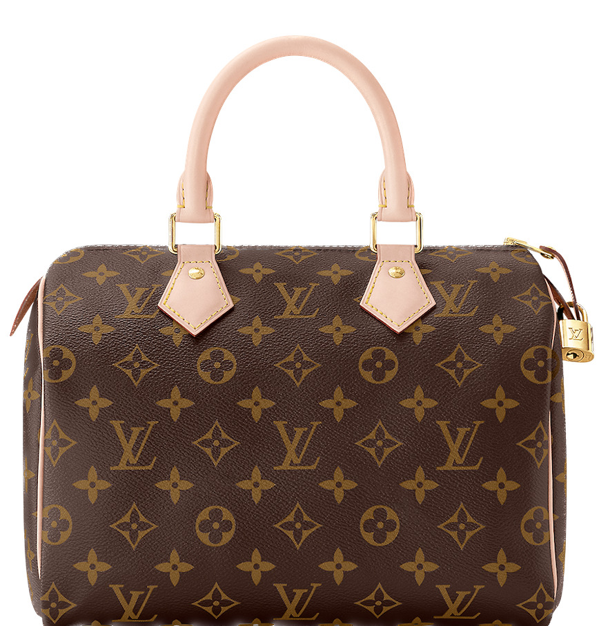 Louis Vuitton Speedy 25 M41109