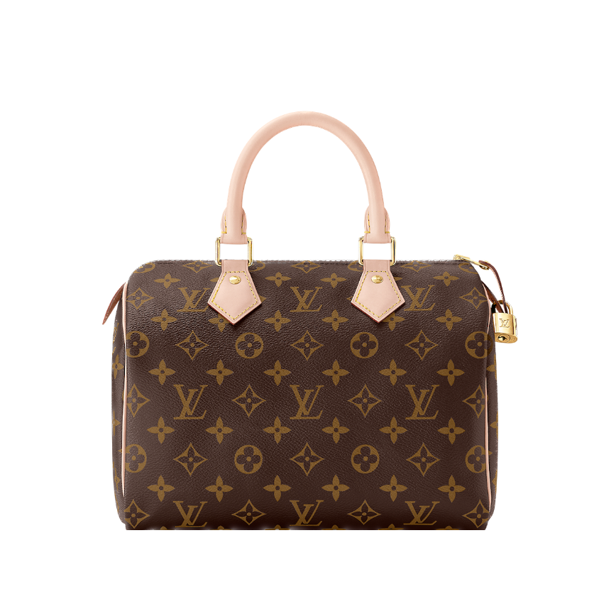 Louis Vuitton Speedy 25 M41109
