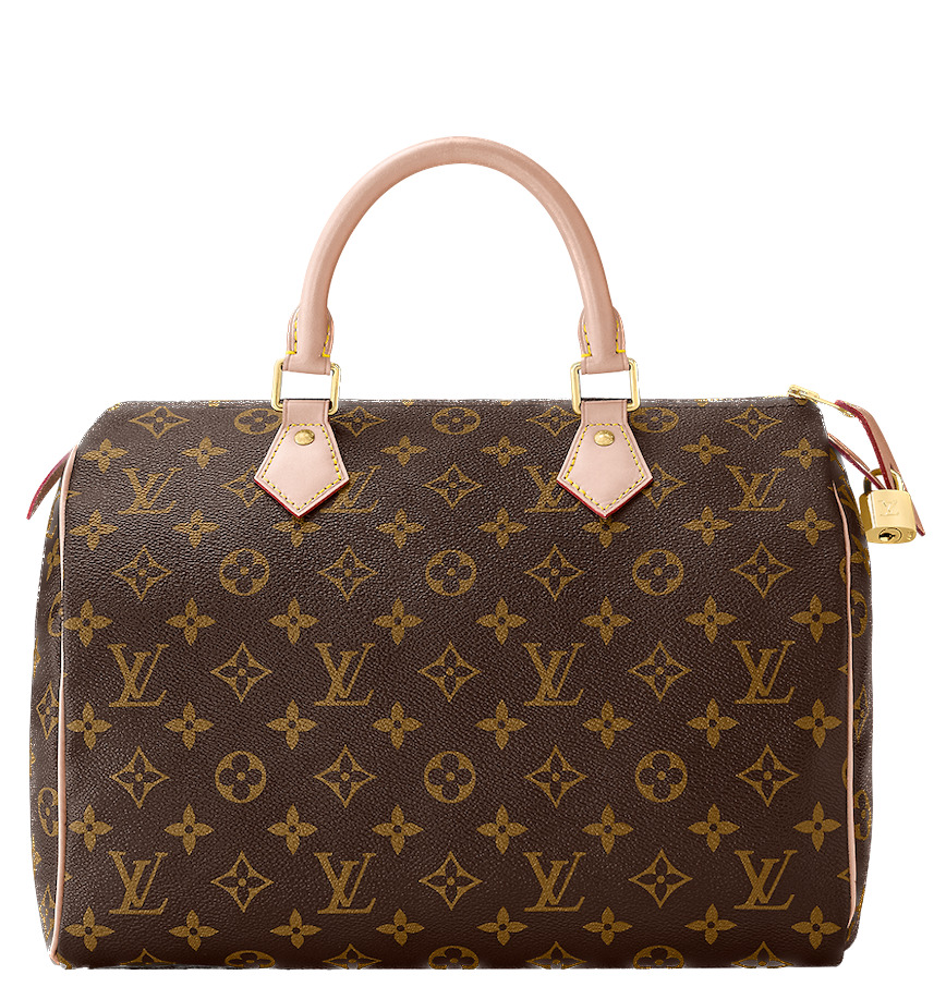 Louis Vuitton Speedy 30 M41108