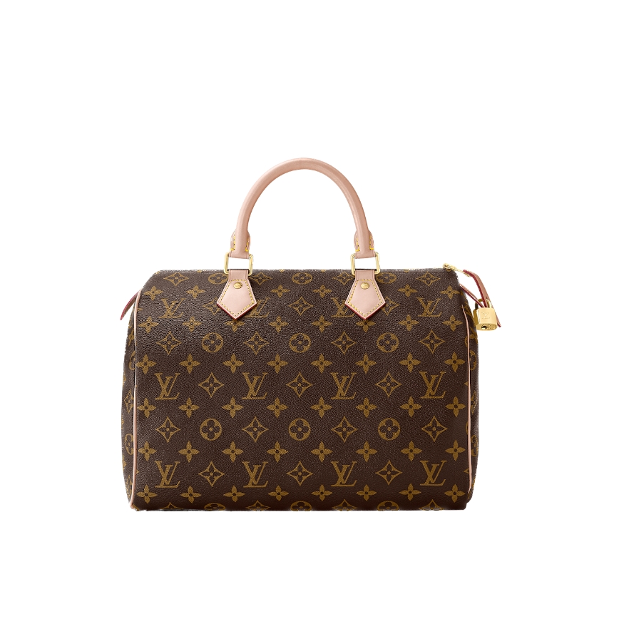 Louis Vuitton Speedy 30 M41108
