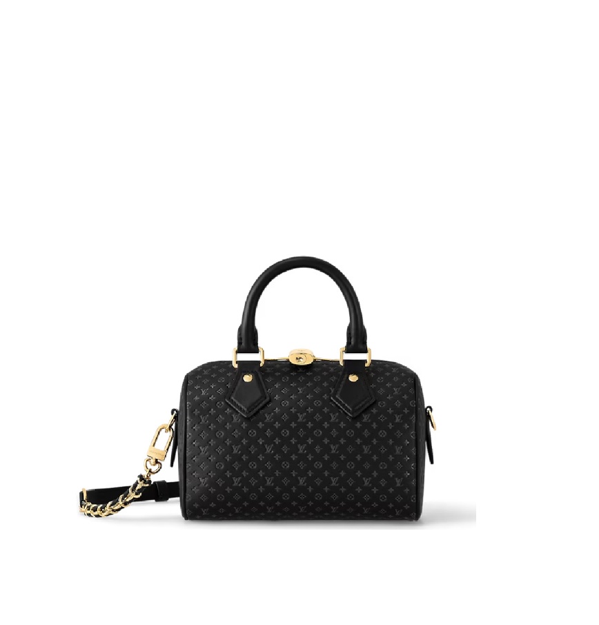 Louis Vuitton Speedy Bandoulière 20 M22595