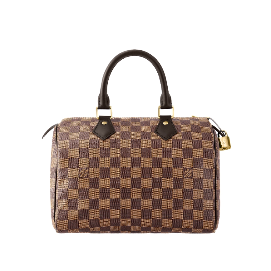 Louis Vuitton Speedy 25 N41365
