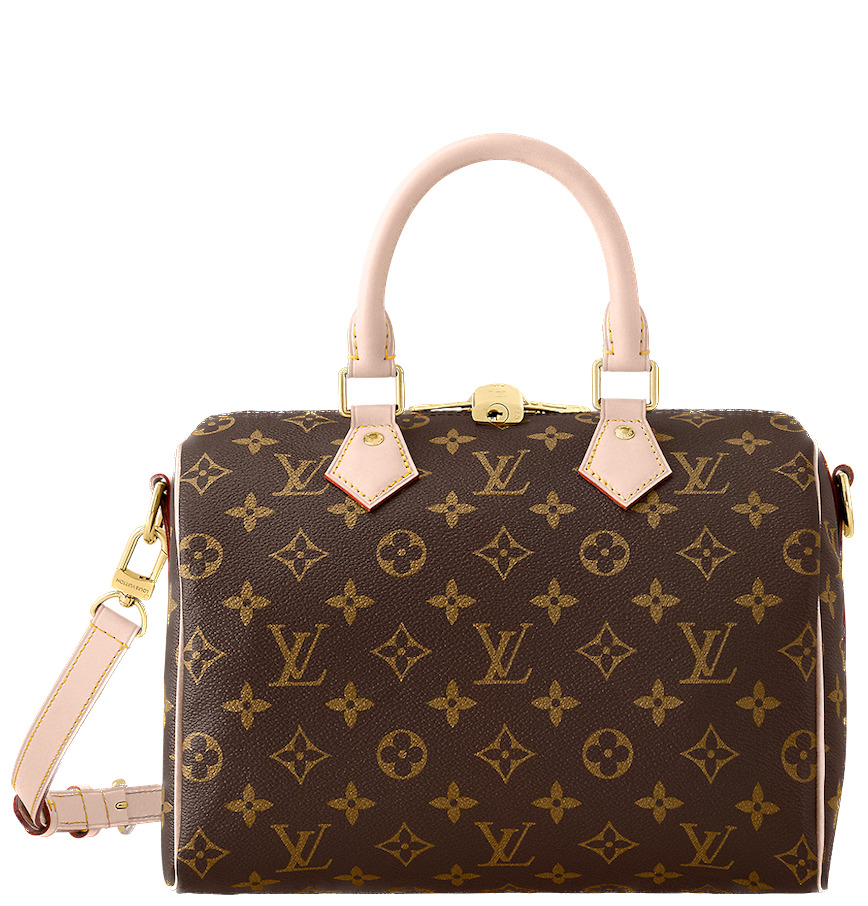 Louis Vuitton Speedy Bandouliere 25 M41113