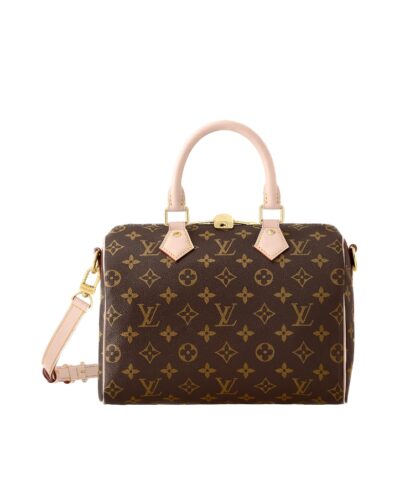 Louis Vuitton Speedy Bandoulière 25 M41113