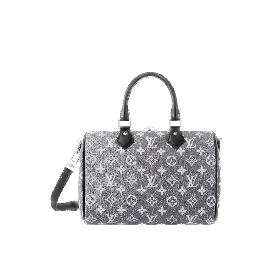 Louis Vuitton Speedy Bandoulière 25 M21464