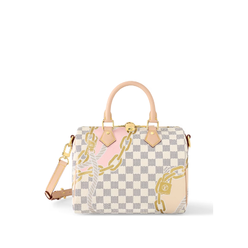 Louis Vuitton Speedy Bandoulière 25 N40473