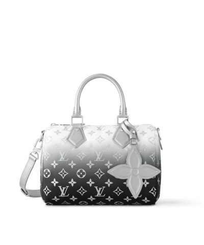 Louis Vuitton Speedy Bandoulière 25 M11848