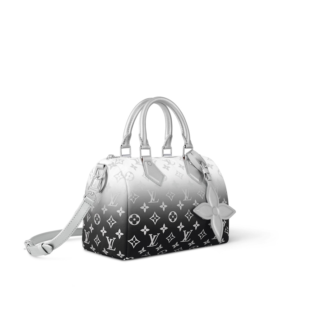 Louis Vuitton Speedy Bandoulière 25 M11848