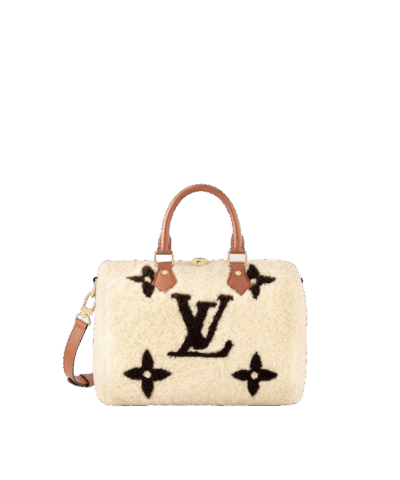 Louis Vuitton Speedy Bandoulière 25 M23468