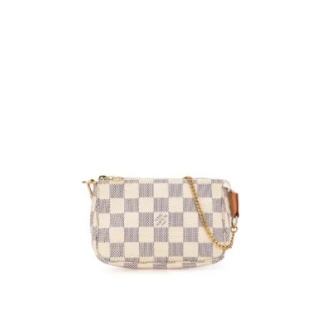 Louis Vuitton Mini Pochette Accessoires M58010