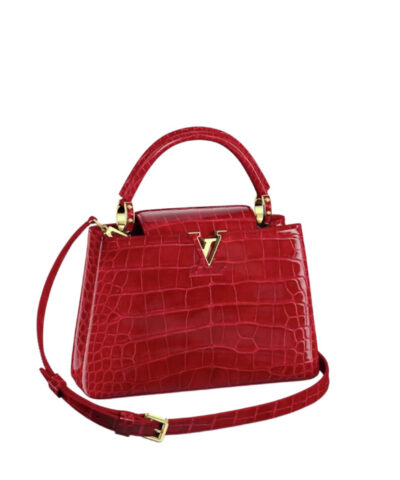 Louis Vuitton Capucines BB N93992