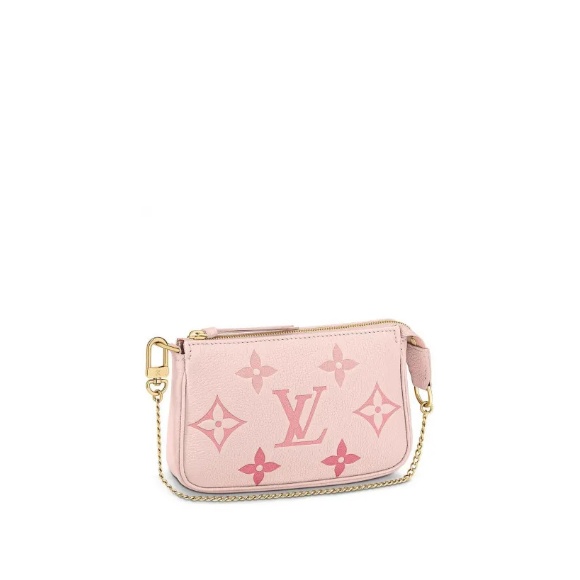 Louis Vuitton Mini Pochette Accessoires M80501