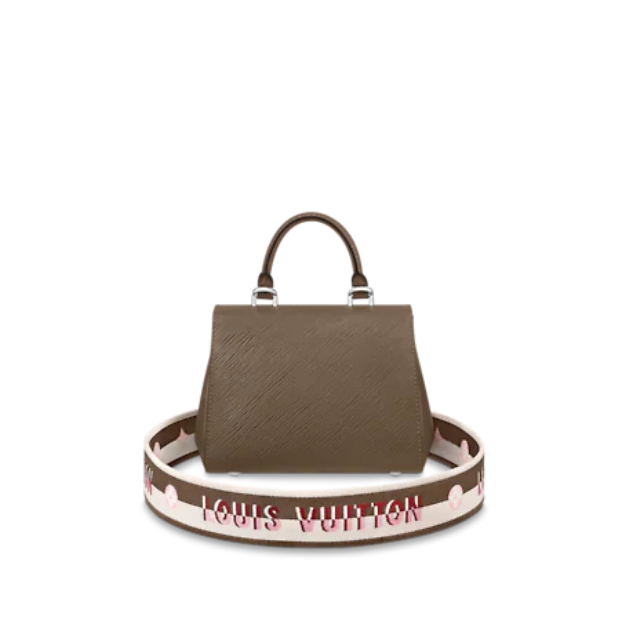 Louis Vuitton Cluny Mini M59108
