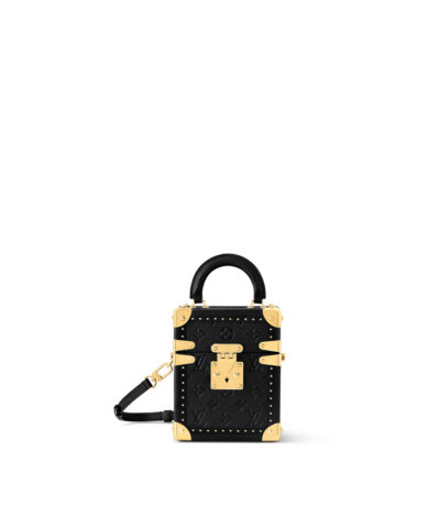 Louis Vuitton Camera Box M11131