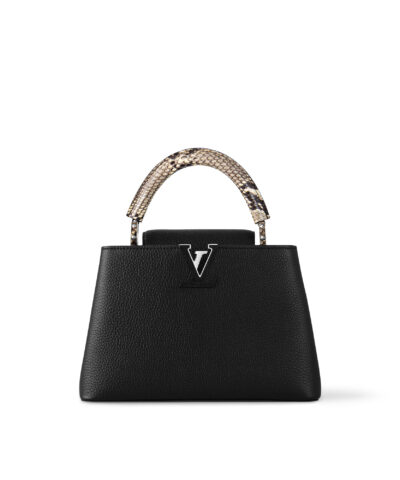 Louis Vuitton Capucines BB N92040