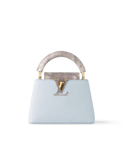 Louis Vuitton Capucines Mini M22876