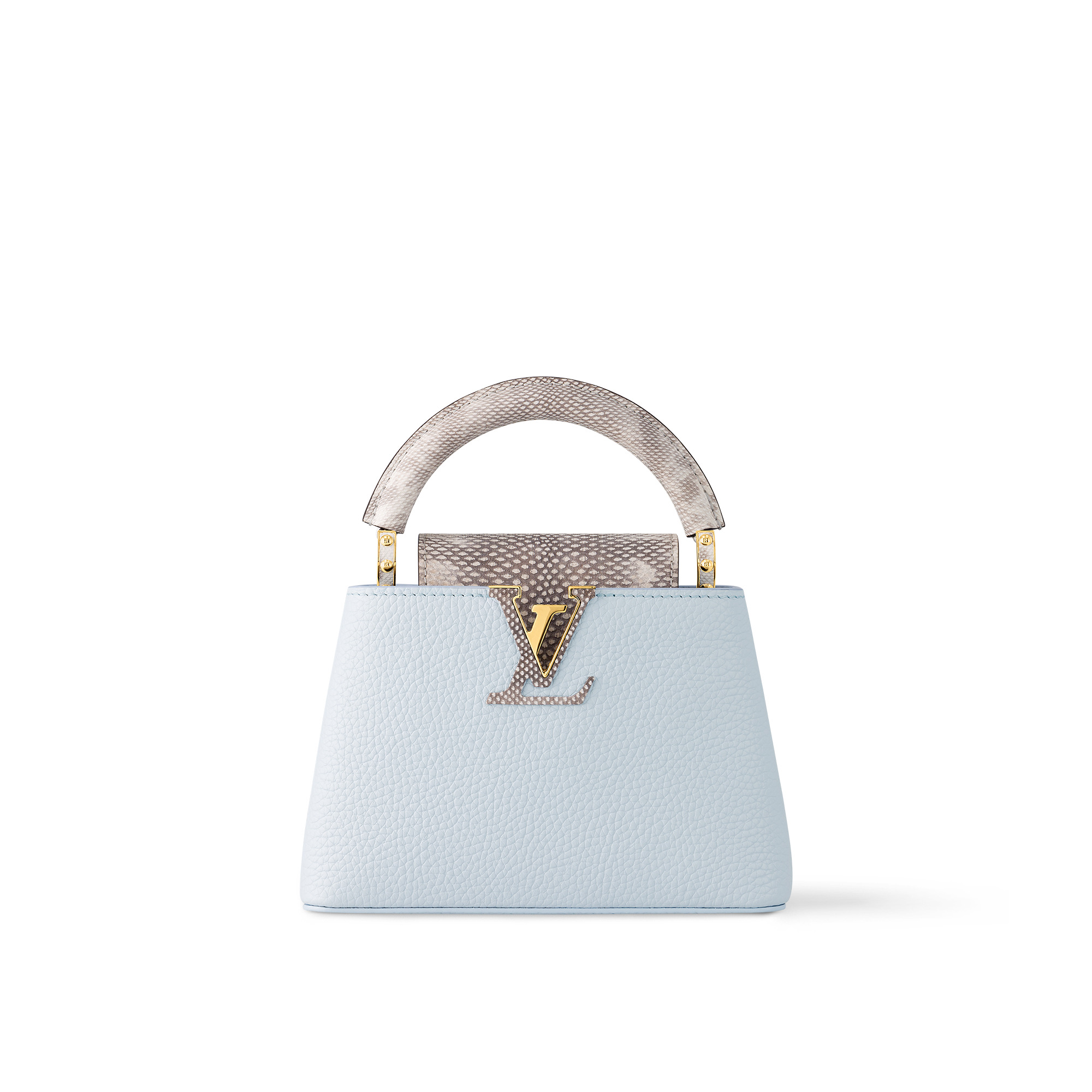 Louis Vuitton Capucines Mini M22876
