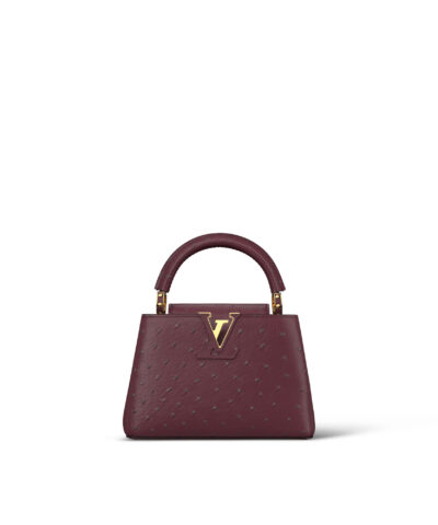 Louis Vuitton Capucines Mini N83548