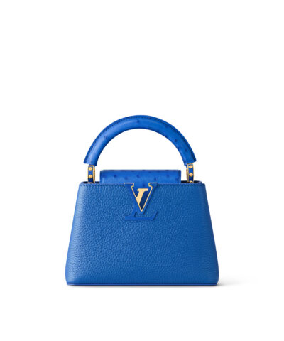Louis Vuitton Capucines Mini N83928