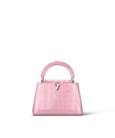 Louis Vuitton Capucines Mini N84046