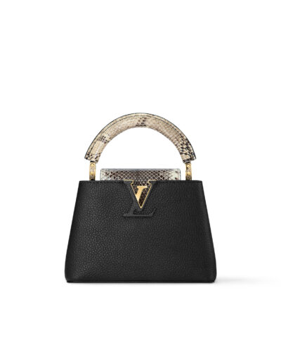Louis Vuitton Capucines Mini N96467