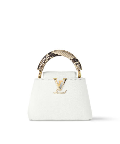 Louis Vuitton Capucines Mini N98477