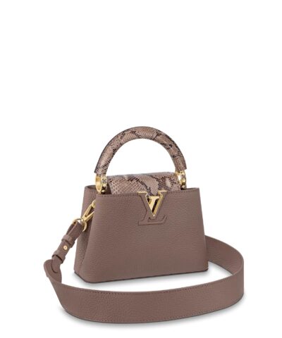 Louis Vuitton Capucines Mini N80041