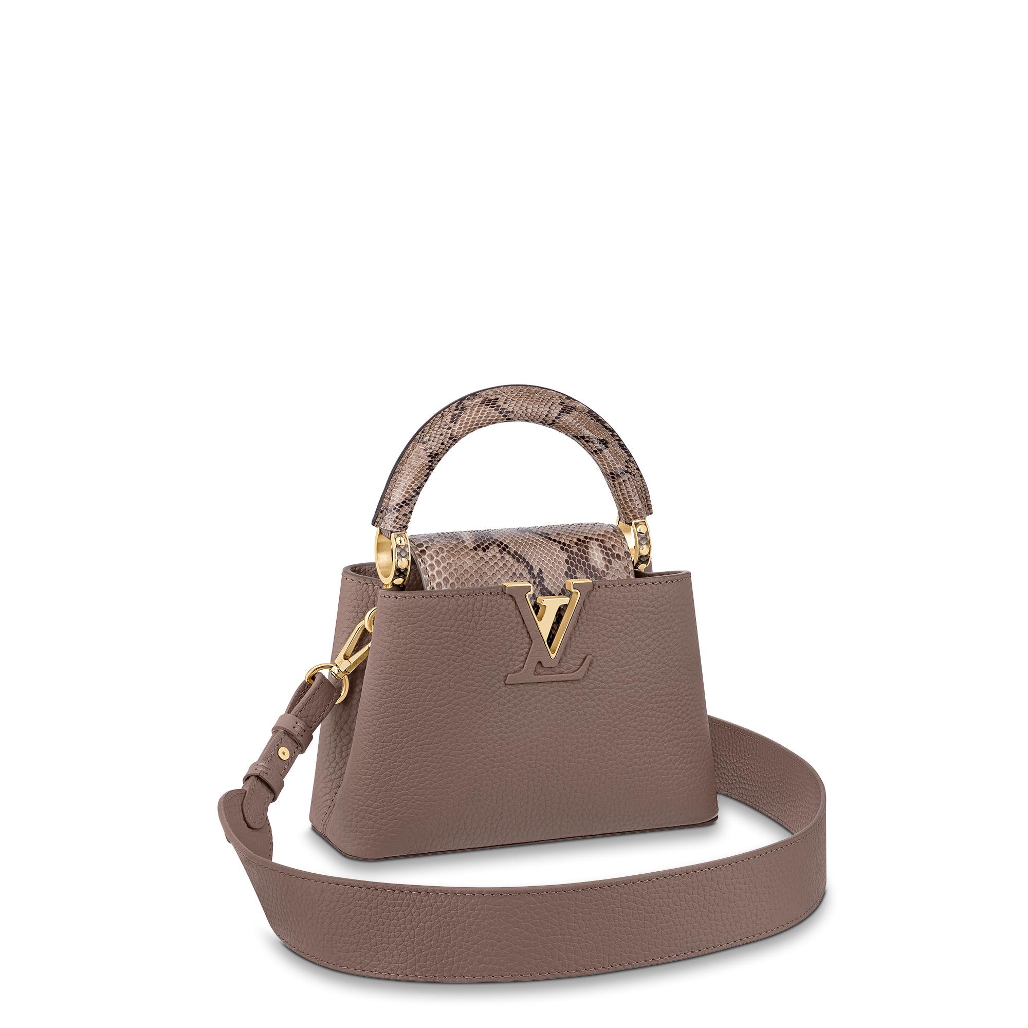 Louis Vuitton Capucines Mini N80041