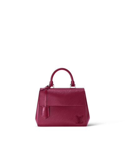 Louis Vuitton Cluny Mini M20613