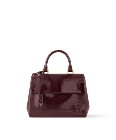 Louis Vuitton Cluny Mini M24616