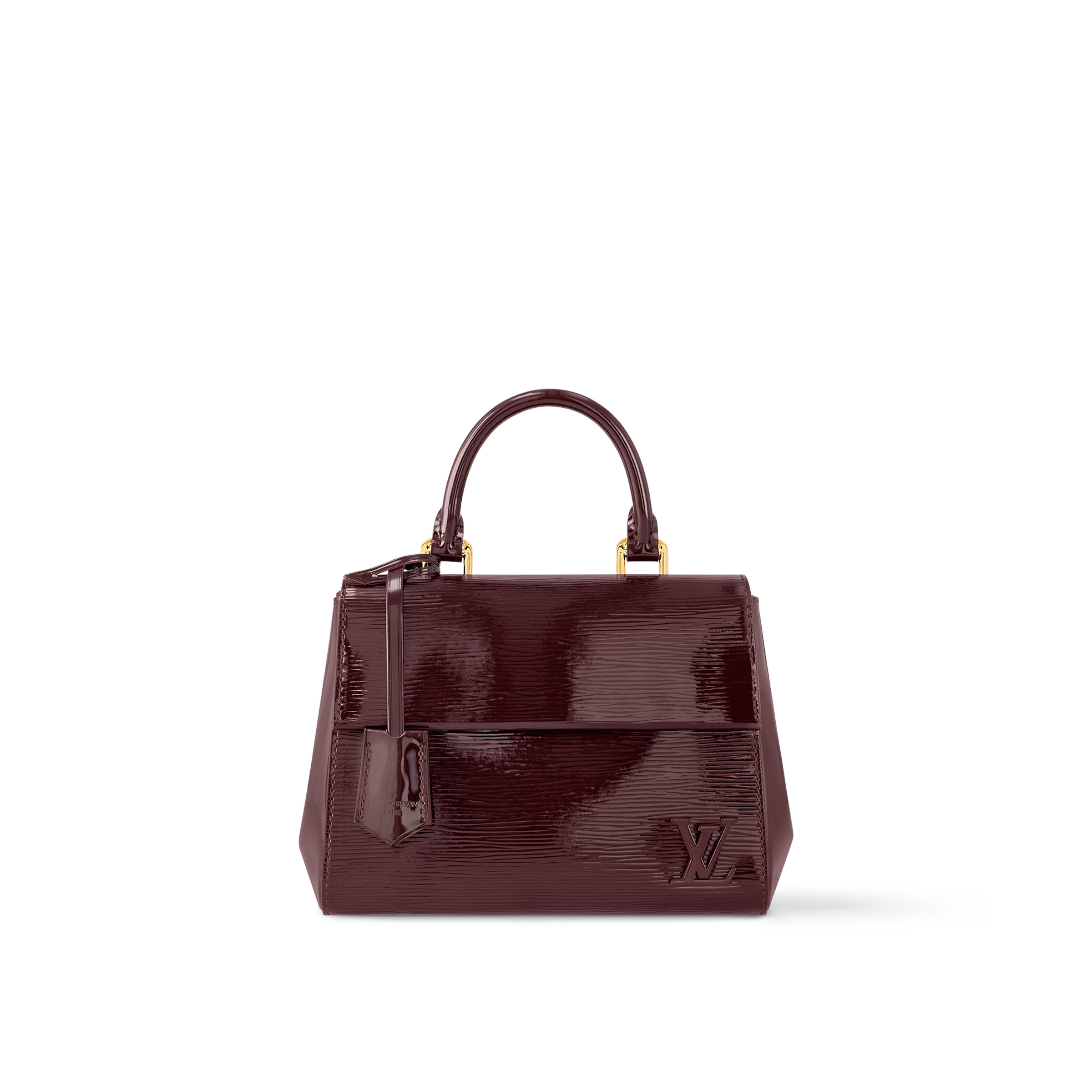 Louis Vuitton Cluny Mini M24616