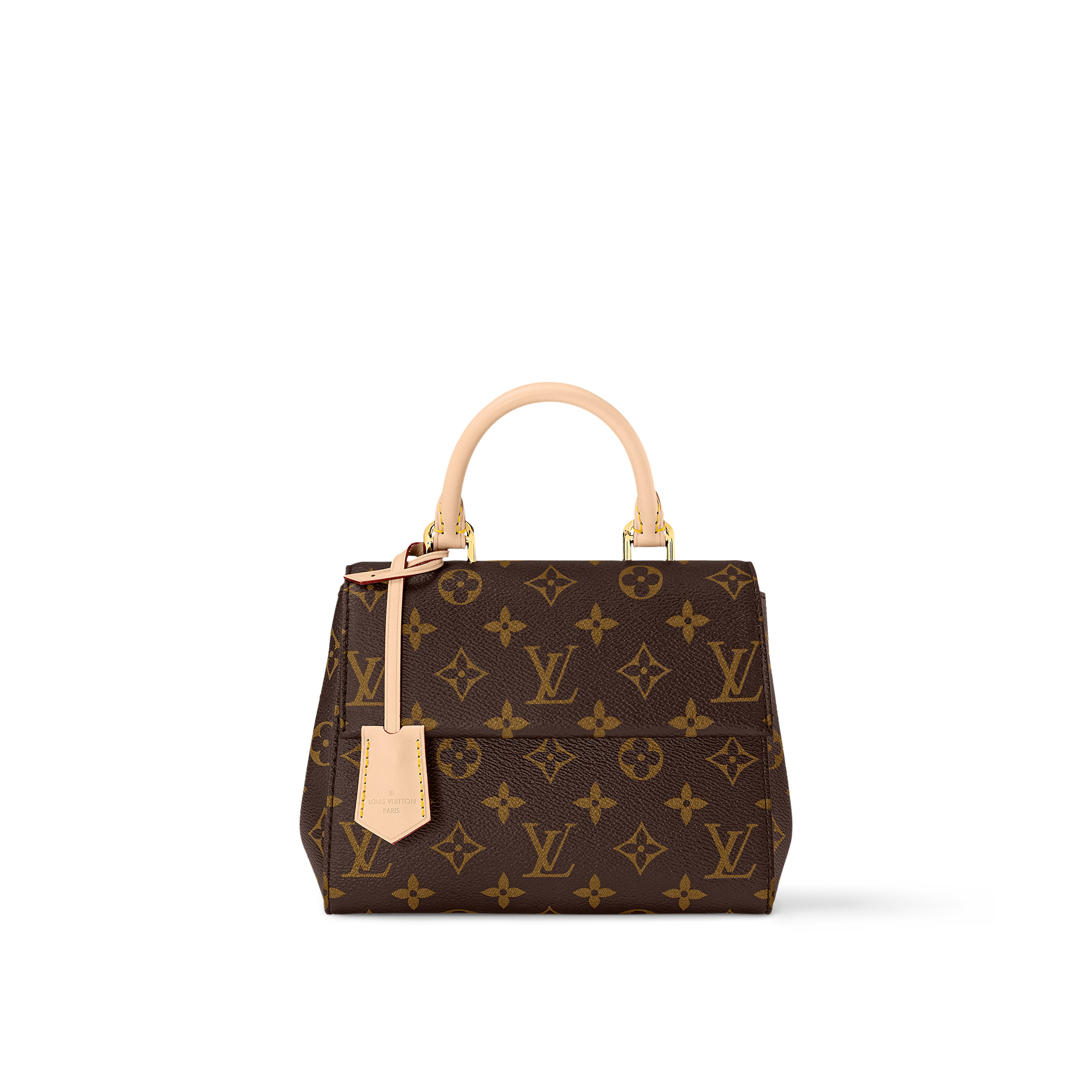 Louis Vuitton Cluny Mini M46055