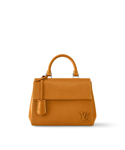 Louis Vuitton Cluny Mini M58931
