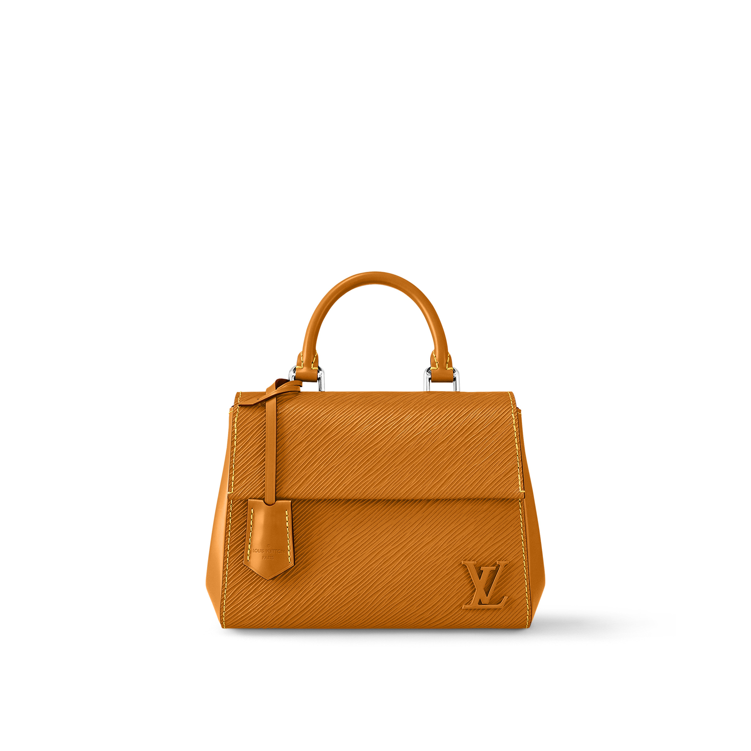 Louis Vuitton Cluny Mini M58931