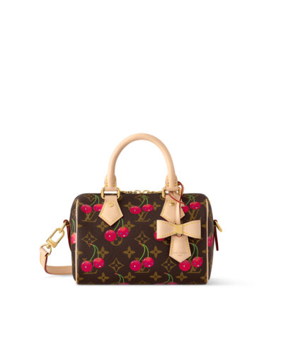 Louis Vuitton LV x TM Speedy Bandoulière 20 M13094