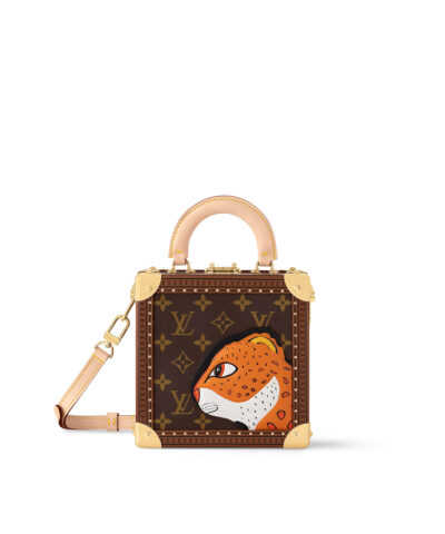 Louis Vuitton Mini Square Trunk Leopard M11210