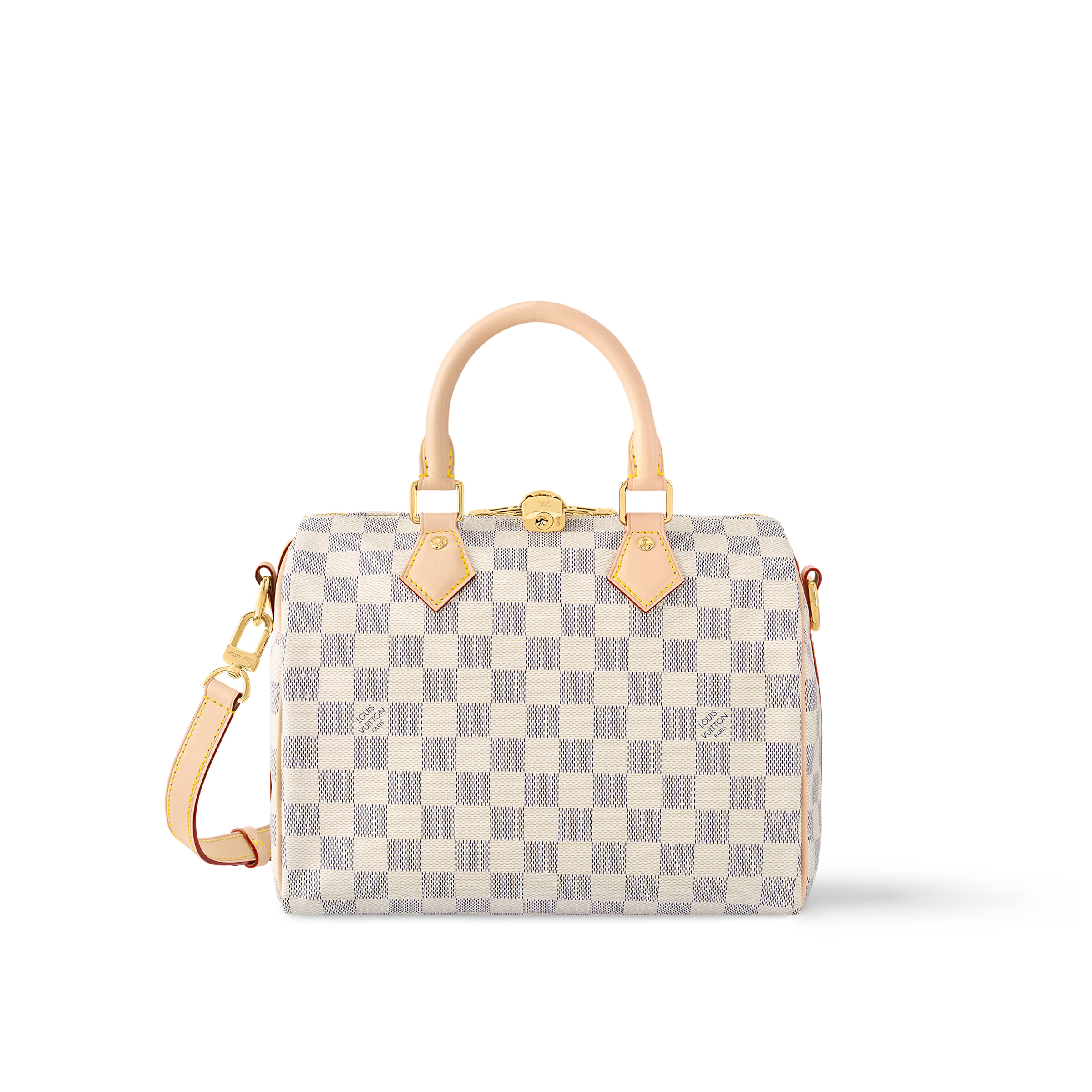 Louis Vuitton Speedy Bandoulière 25 N40608