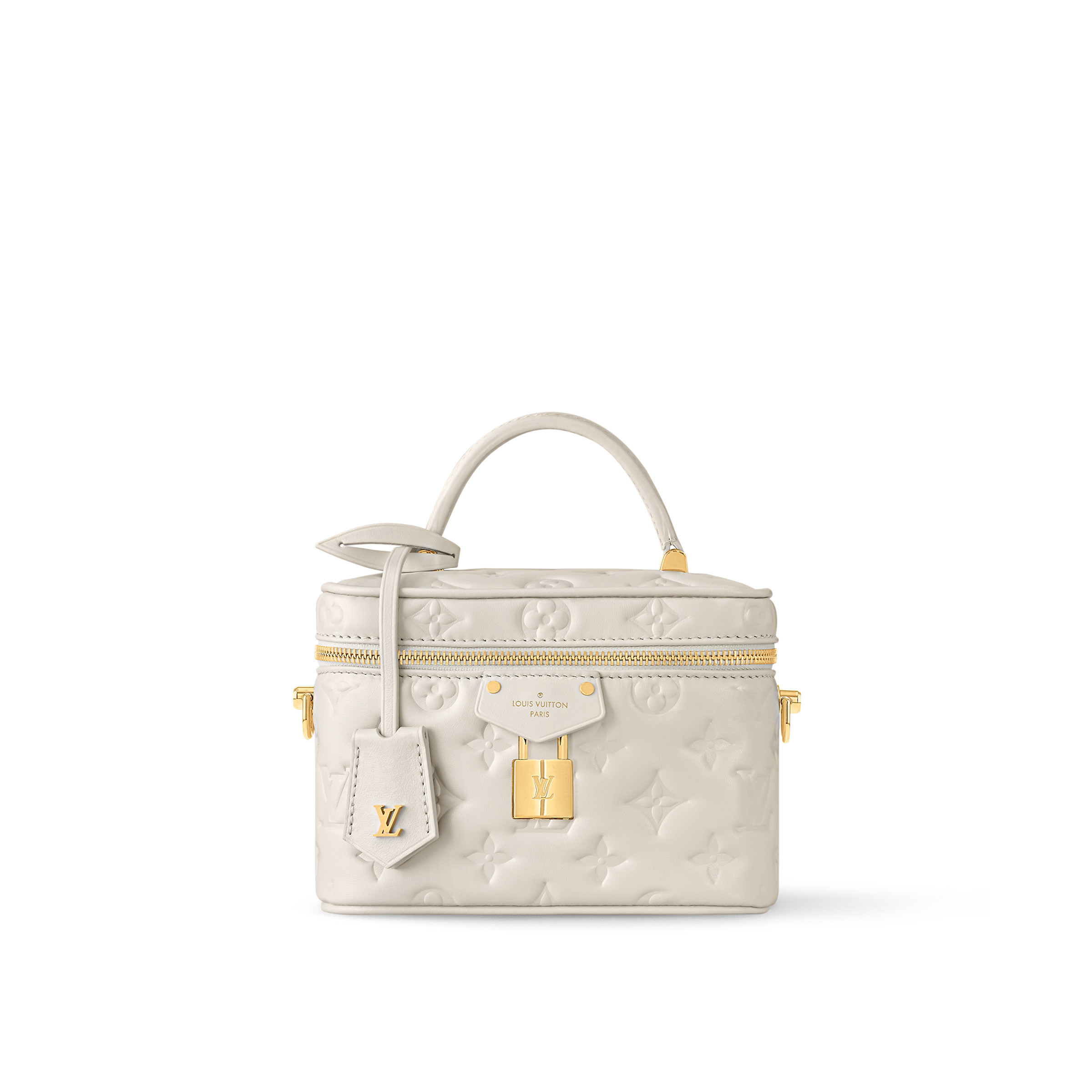 Louis Vuitton Vanity Chain Pouch M25219
