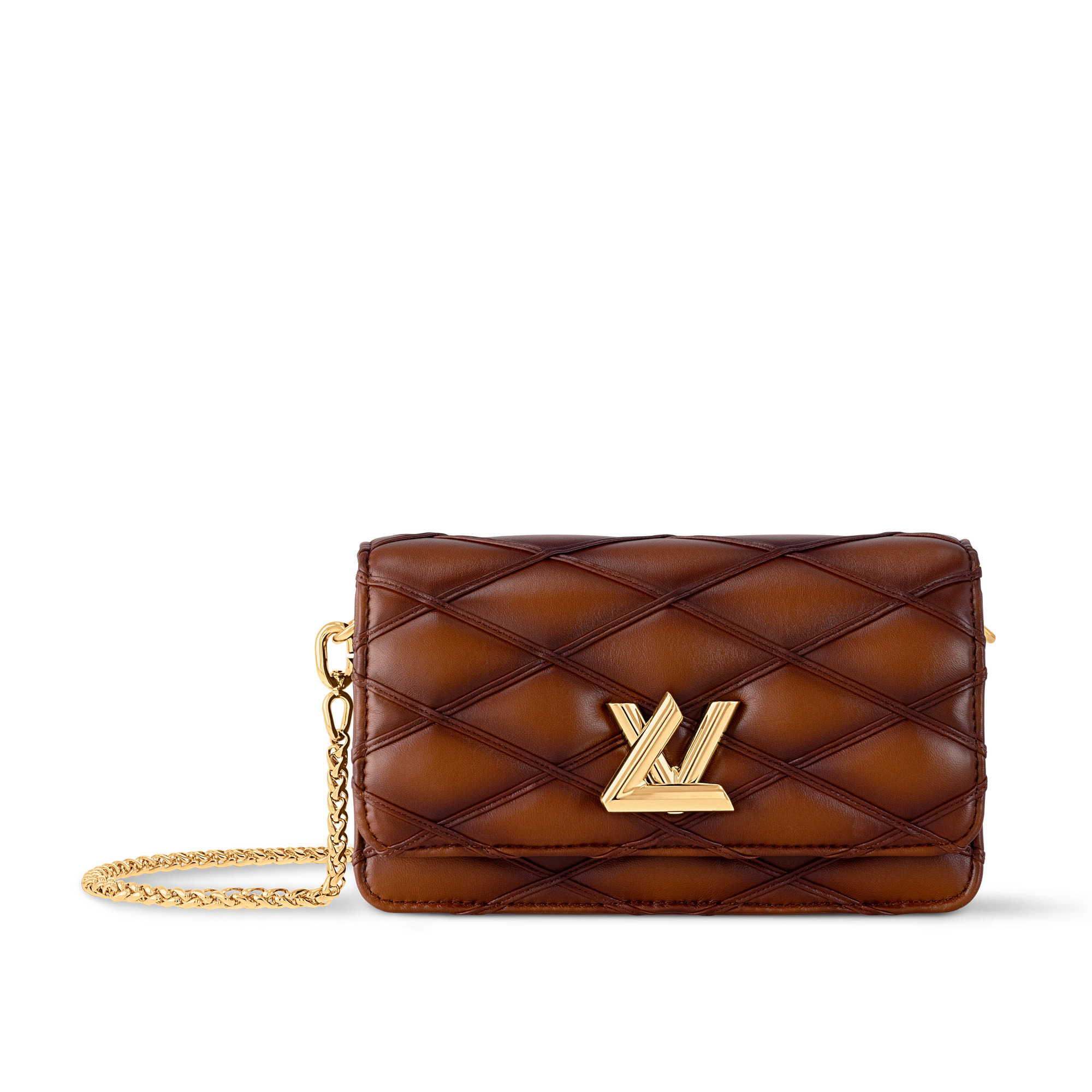 Louis Vuitton Wallet On Chain GO-14 M13841