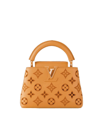 Louis Vuitton Capucines mini M22863